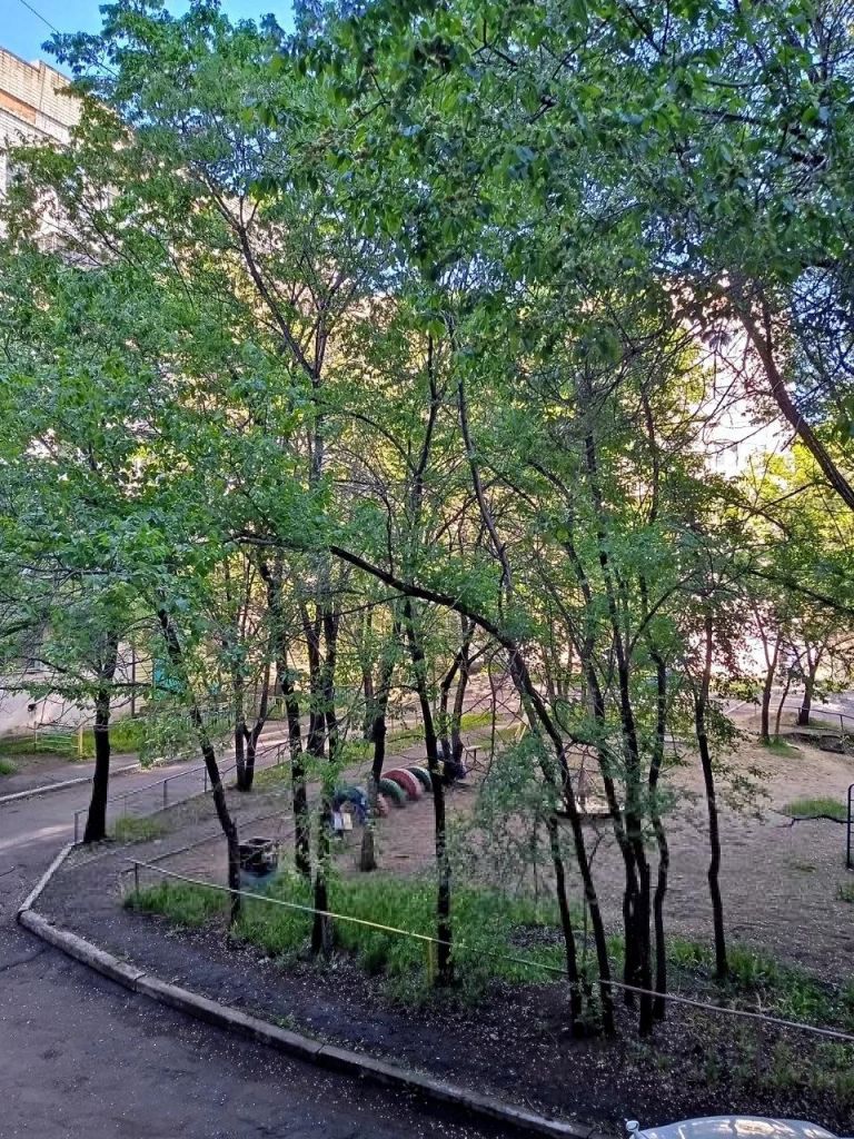 Квартира, Хабаровск