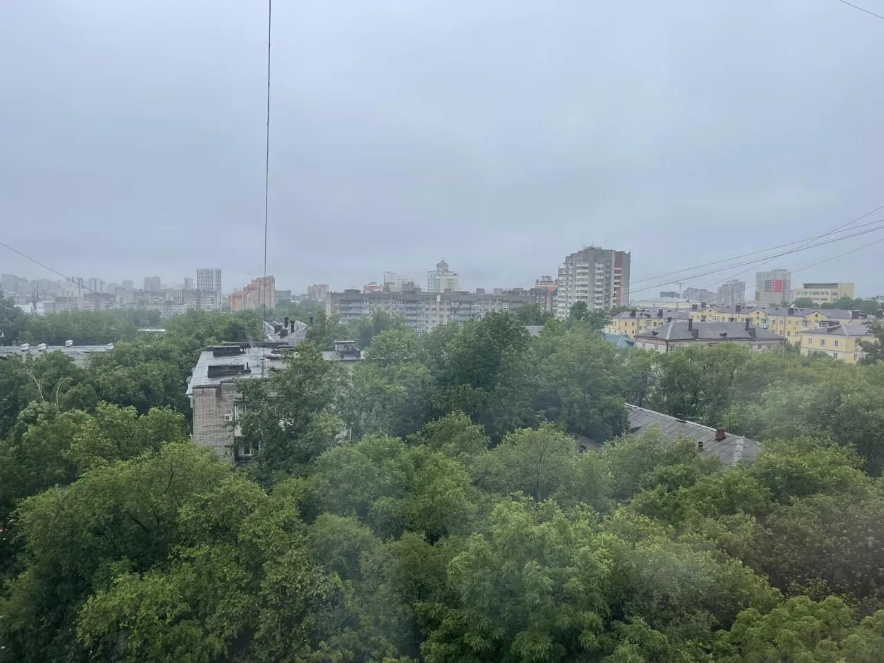 antiznak-312166683-14.jpg