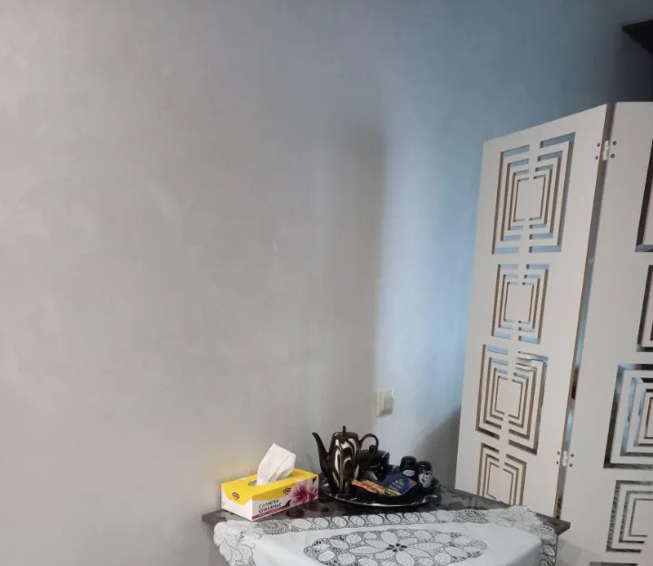 Общий вид